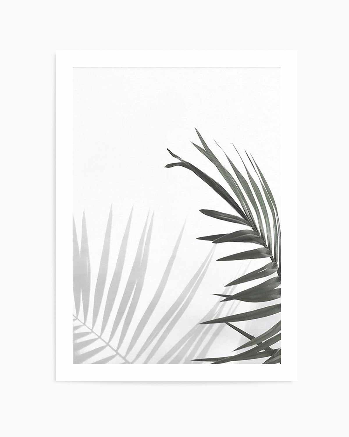 Under The Palm Art Print