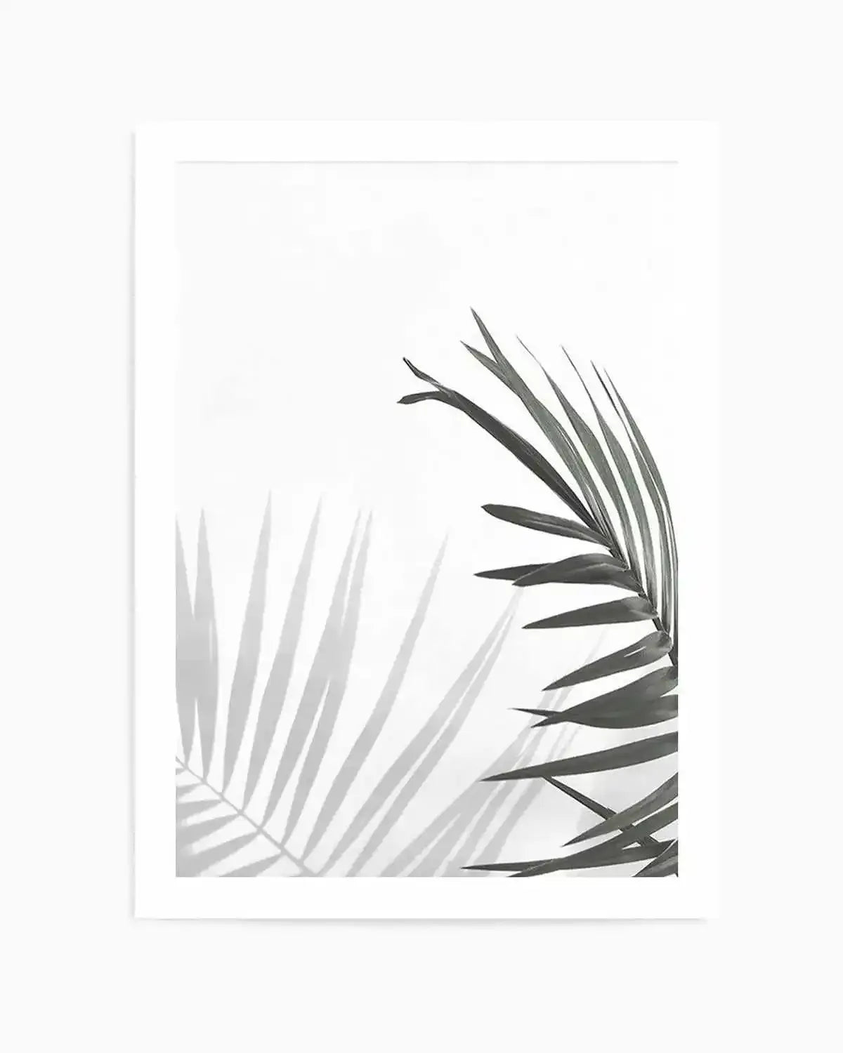 Under The Palm Art Print from Olive et Oriel where you can shop wallpaper and artworks online