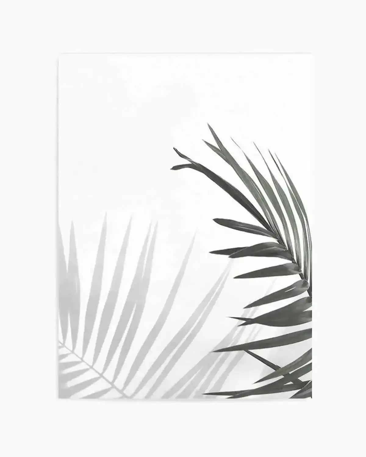 Under The Palm Art Print from Olive et Oriel where you can shop wallpaper and artworks online