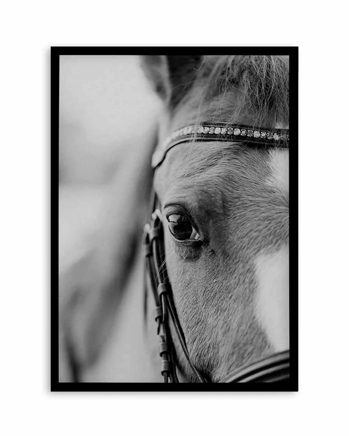 Untamed Art Print from Olive et Oriel where you can shop wallpaper and artworks online