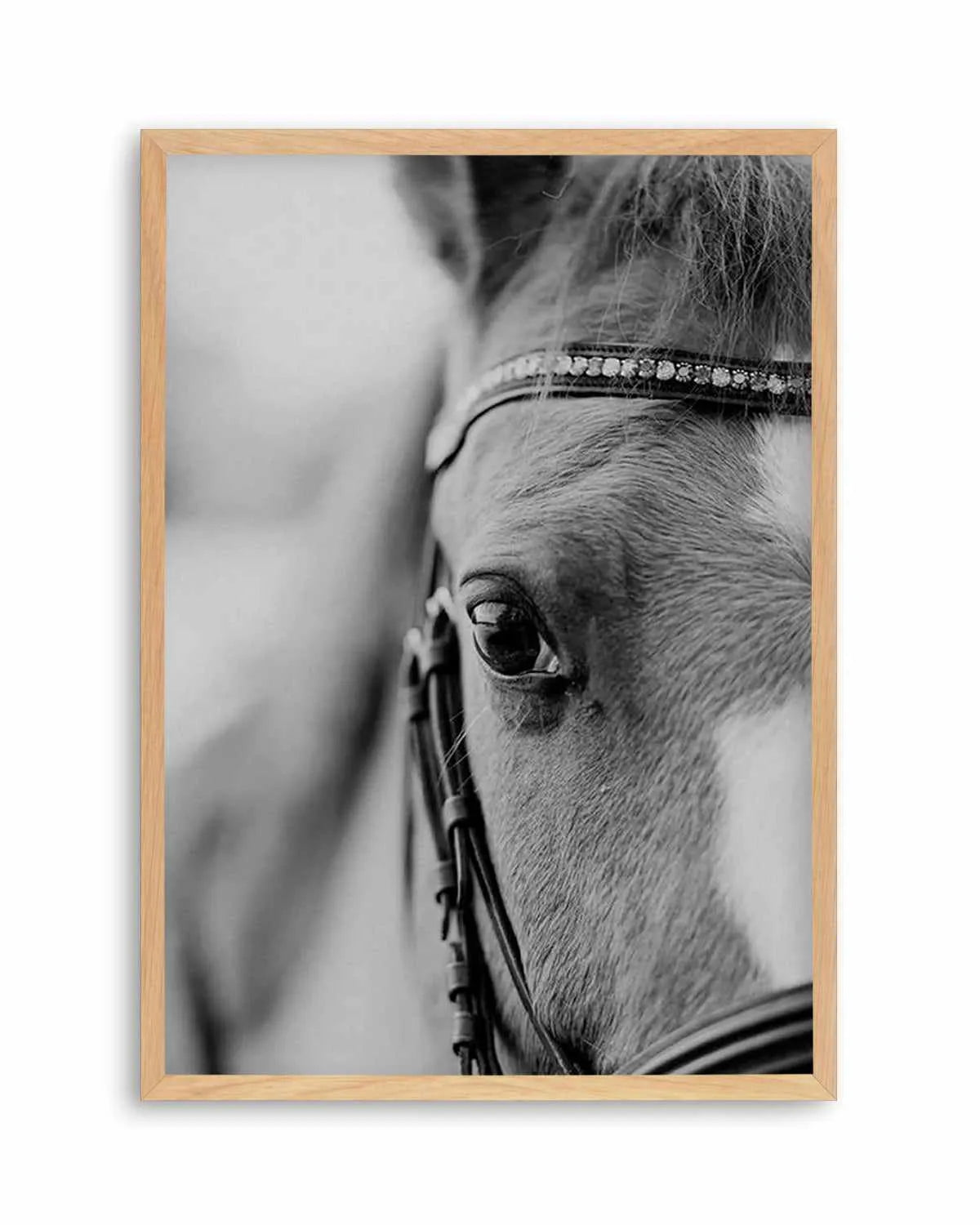 Untamed Art Print from Olive et Oriel where you can shop wallpaper and artworks online