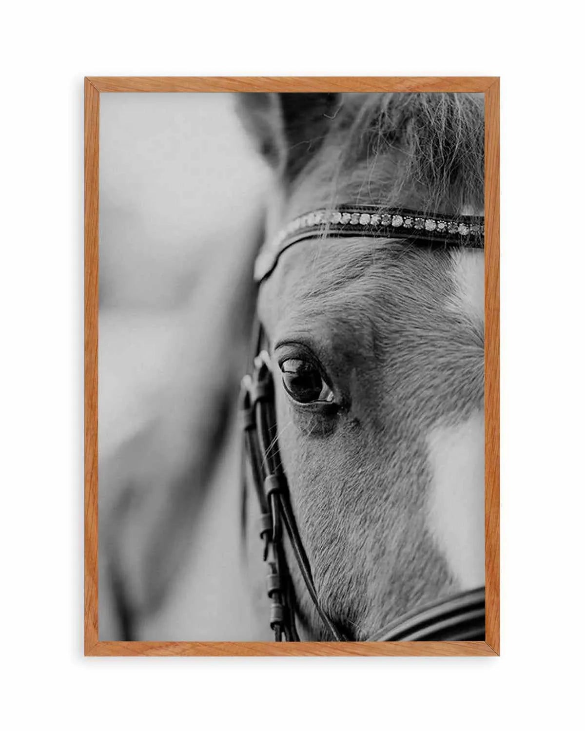 Untamed Art Print from Olive et Oriel where you can shop wallpaper and artworks online