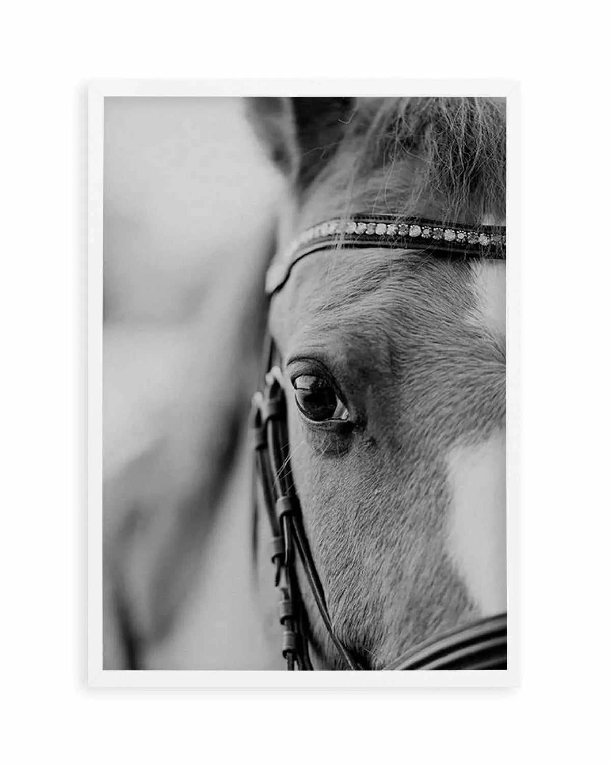 Untamed Art Print from Olive et Oriel where you can shop wallpaper and artworks online