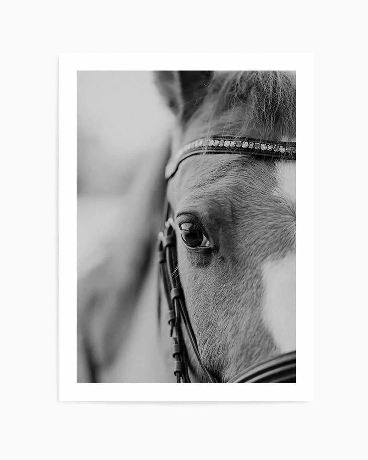 Untamed Art Print from Olive et Oriel where you can shop wallpaper and artworks online