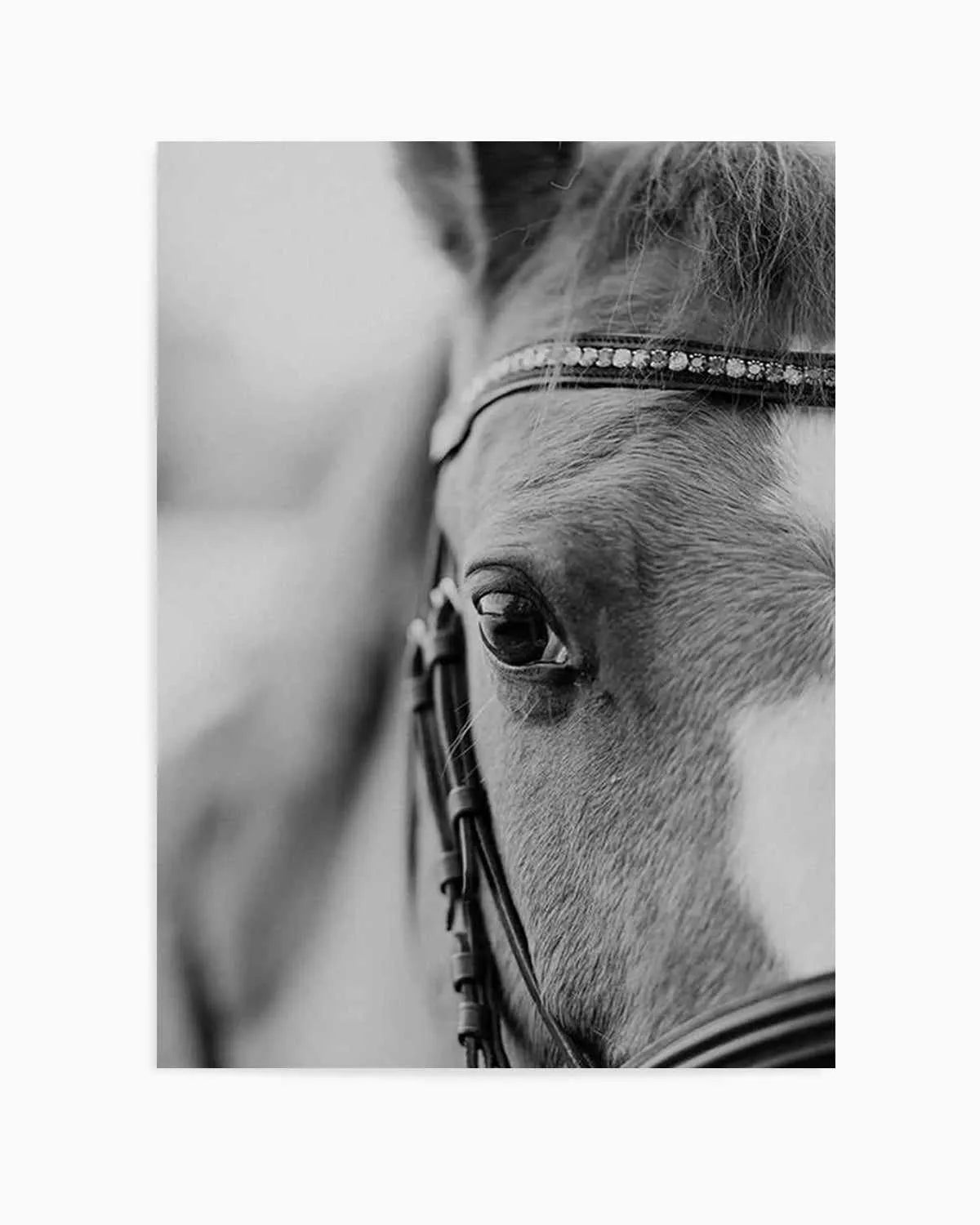 Untamed Art Print from Olive et Oriel where you can shop wallpaper and artworks online