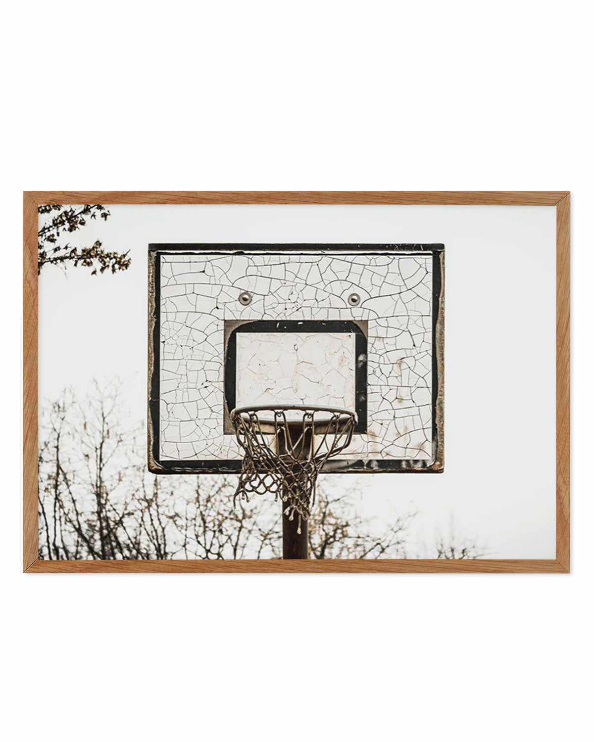 Urban Hoops Art Print