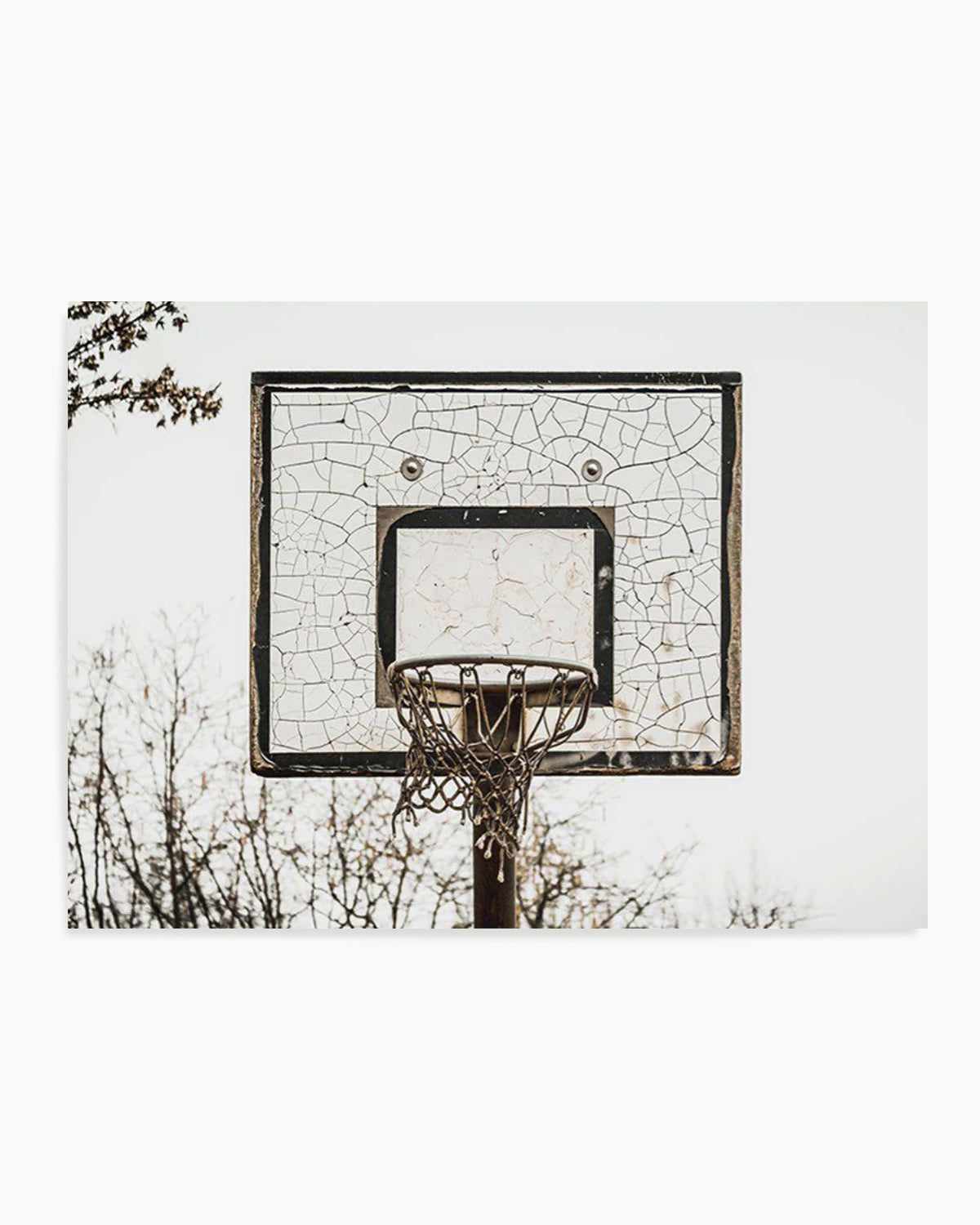 Urban Hoops Art Print