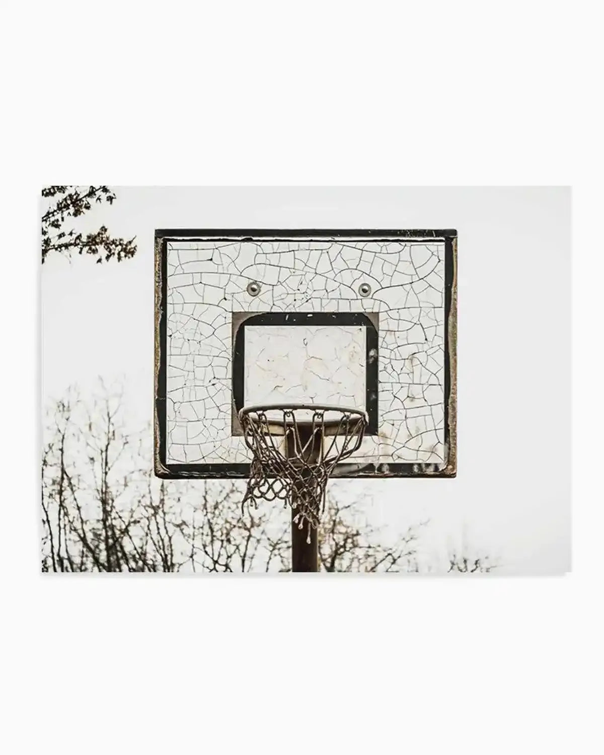 Urban Hoops Art Print from Olive et Oriel where you can shop wallpaper and artworks online