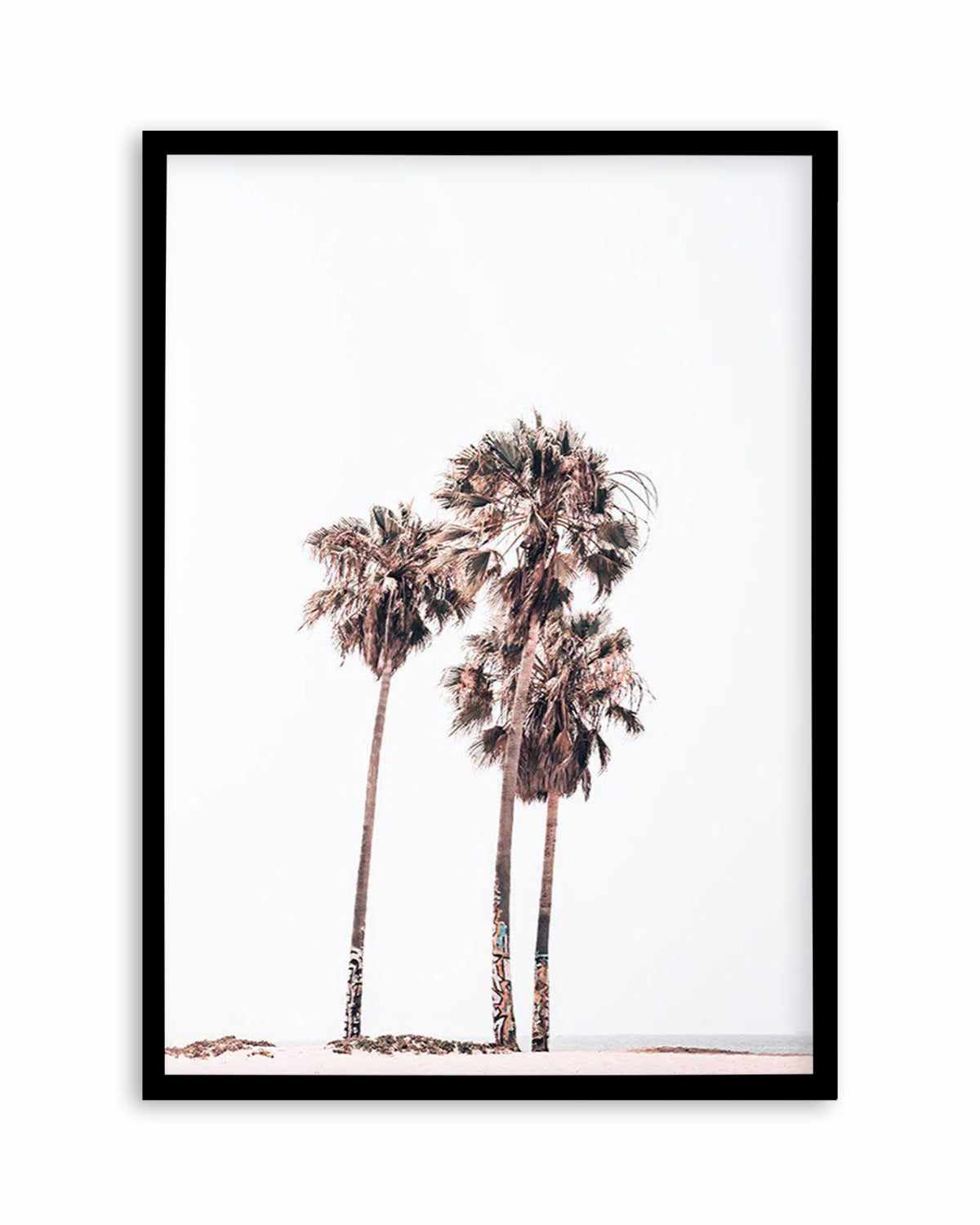 Venice Beach | PT Art Print