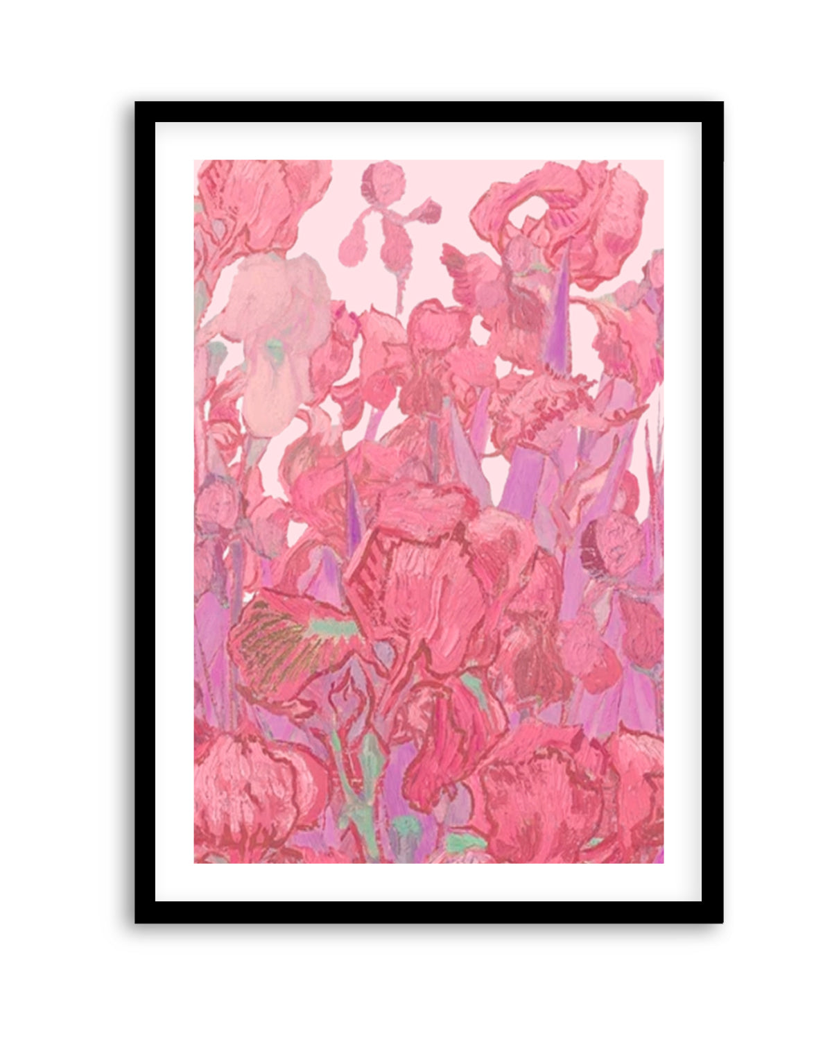 Vibrant Pink Irises by Mathieu Jeuf | Art Print