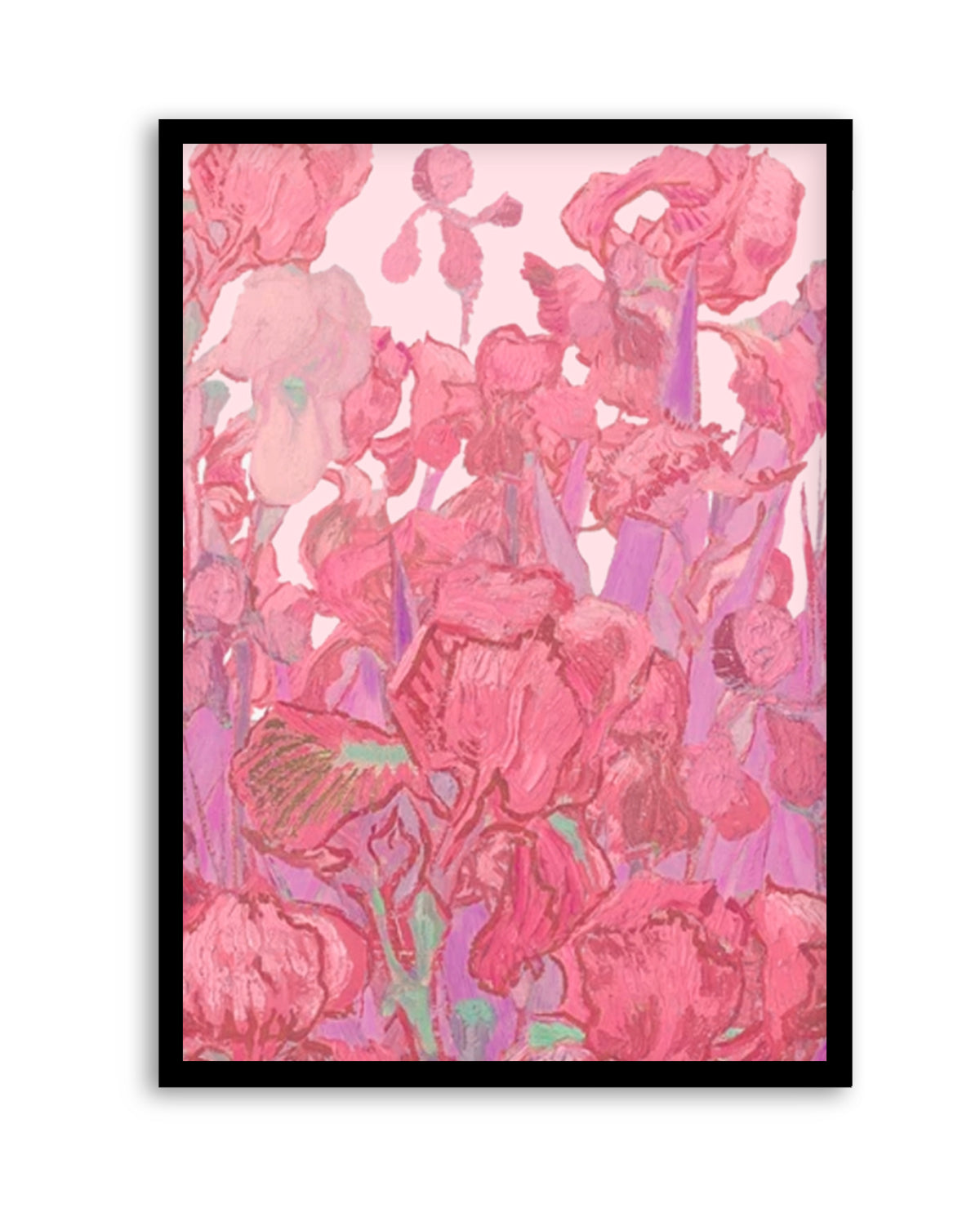 Vibrant Pink Irises by Mathieu Jeuf | Art Print