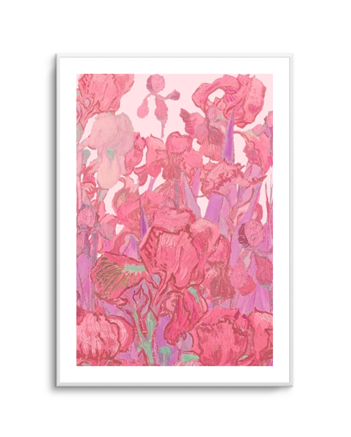 Vibrant Pink Irises by Mathieu Jeuf | Art Print
