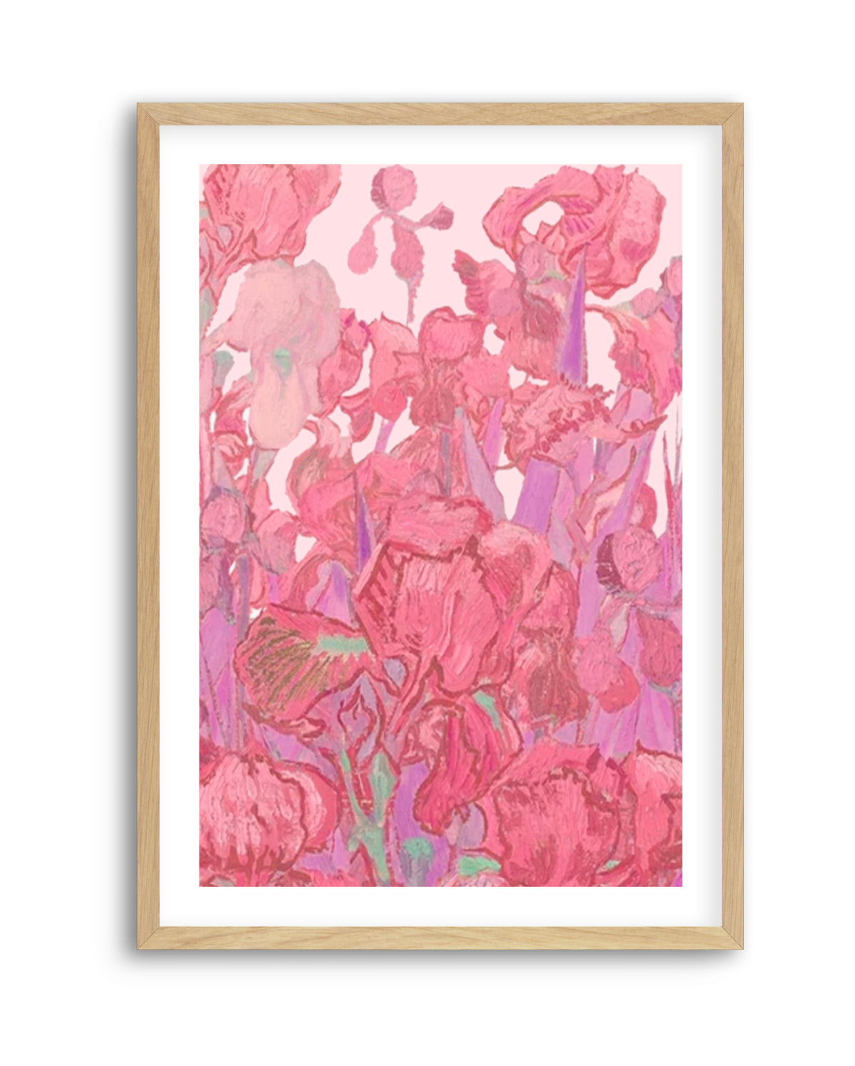 Vibrant Pink Irises by Mathieu Jeuf | Art Print
