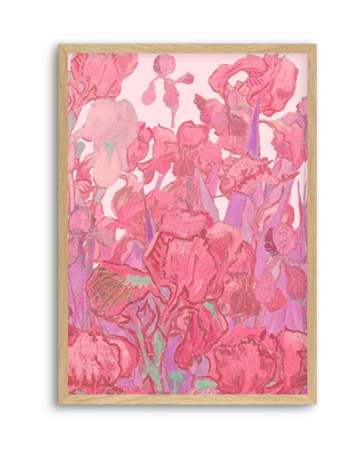 Vibrant Pink Irises by Mathieu Jeuf | Art Print