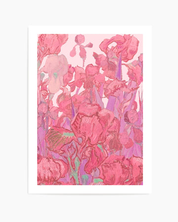Vibrant Pink Irises by Mathieu Jeuf | Art Print
