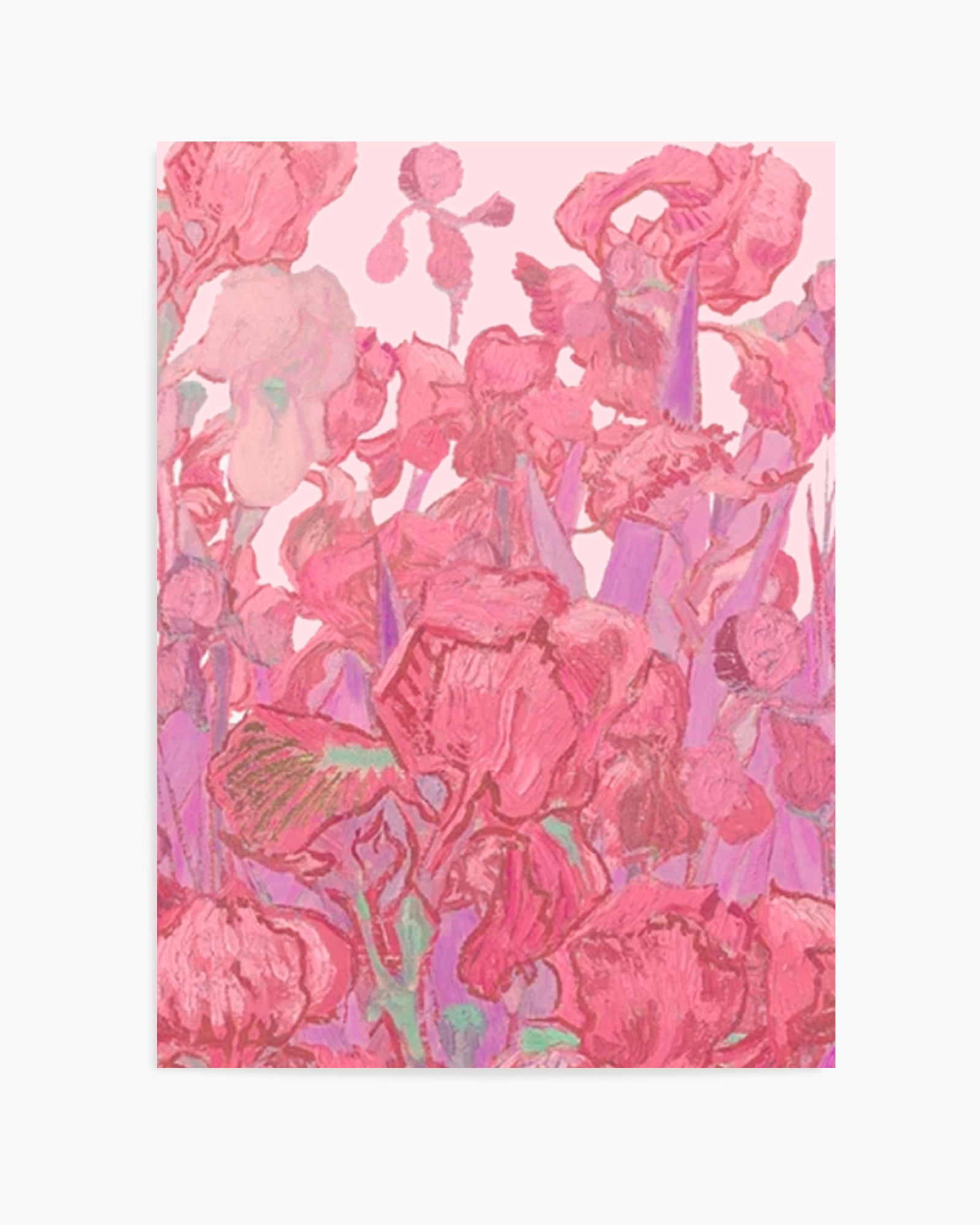 Vibrant Pink Irises by Mathieu Jeuf | Art Print