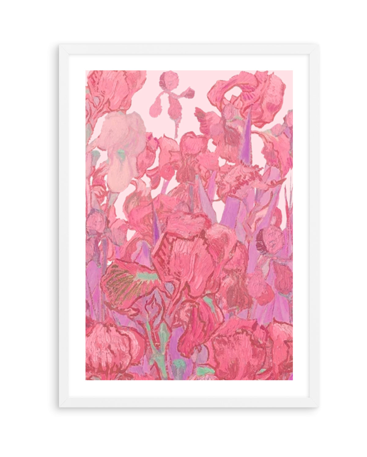 Vibrant Pink Irises by Mathieu Jeuf | Art Print