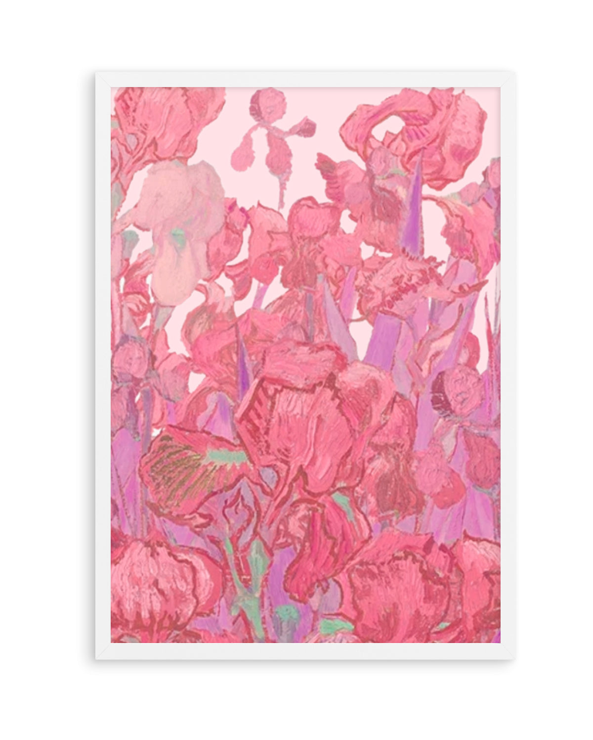 Vibrant Pink Irises by Mathieu Jeuf | Art Print