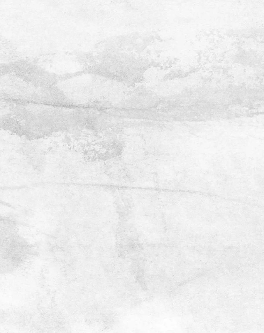 Peel and stick wallpaper featuring a subtle, abstract pattern of soft grey and white tones with a watercolour-like texture. The design has gentle, organic washes of grey that blend into a bright white background, creating a muted, cloudy effect with visible brushstroke details and fine speckling.