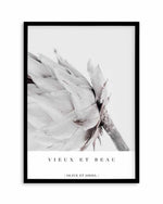Vieux Et Beau | King Protea Art Print