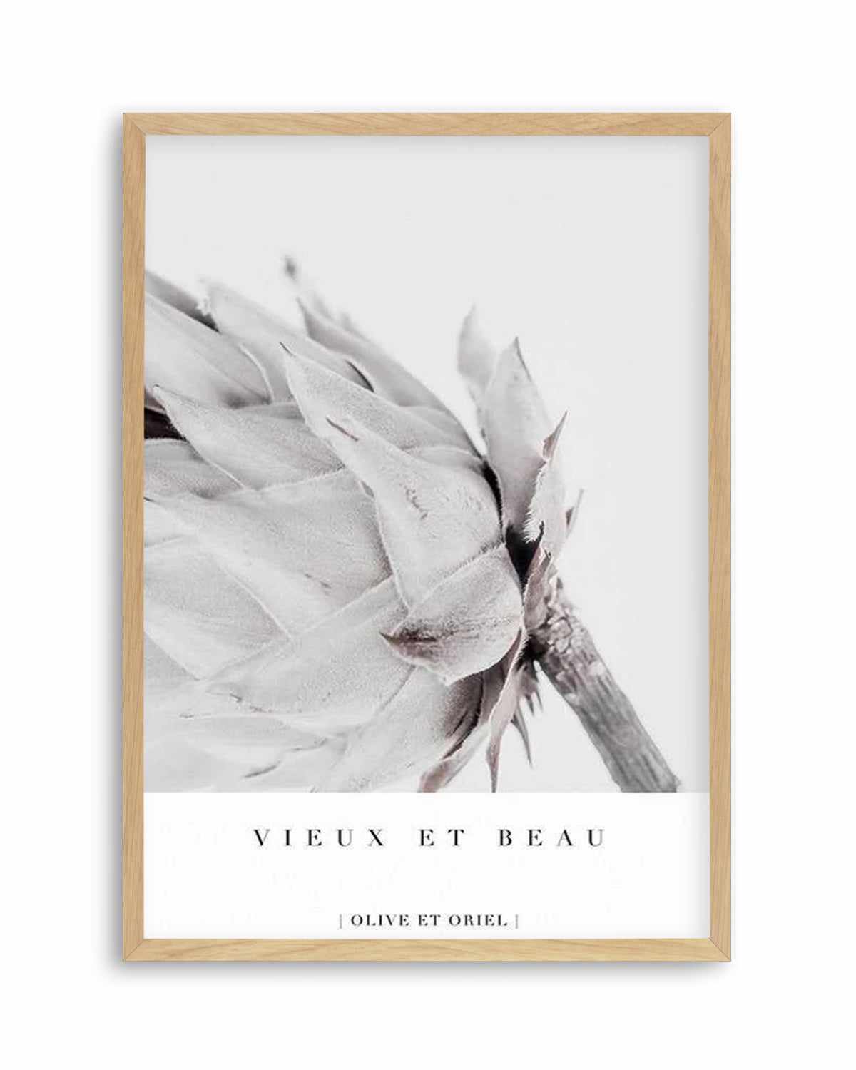 Vieux Et Beau | King Protea Art Print