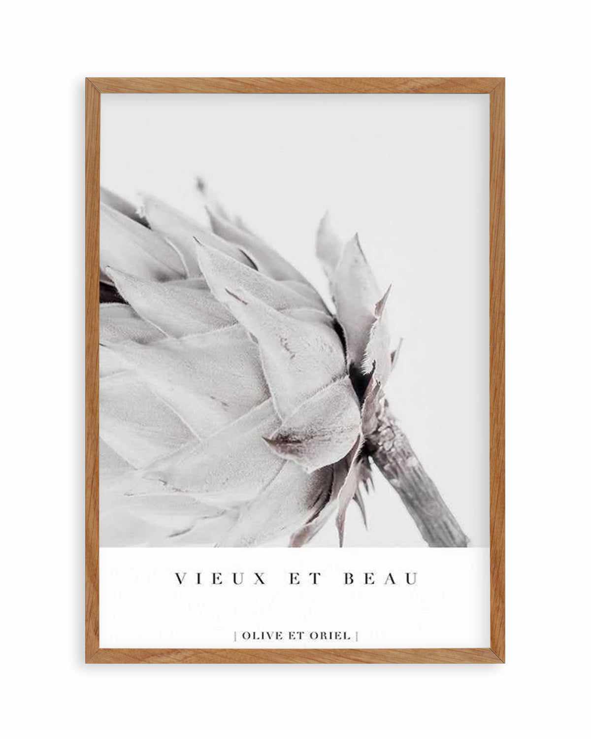 Vieux Et Beau | King Protea Art Print