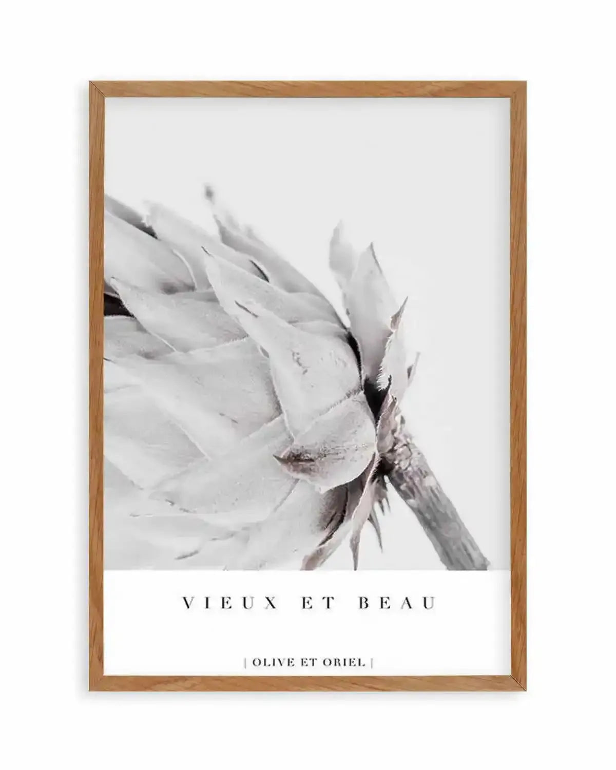 Vieux Et Beau | King Protea Art Print from Olive et Oriel where you can shop wallpaper and artworks online