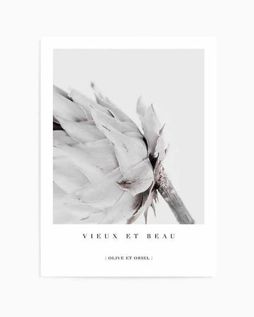Vieux Et Beau  King Protea Art Print art print, framed