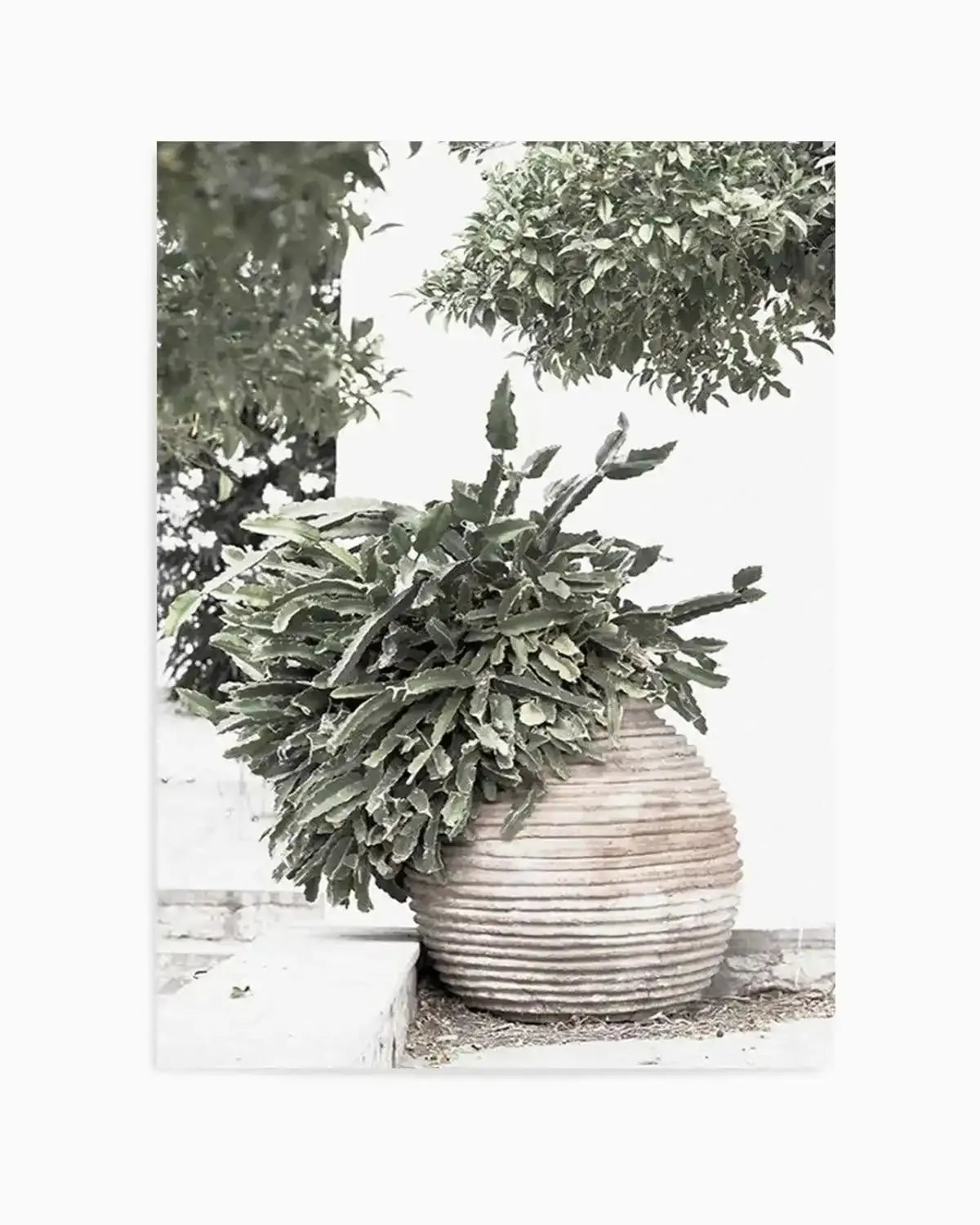 Villa Cactus Art Print from Olive et Oriel where you can shop wallpaper and artworks online