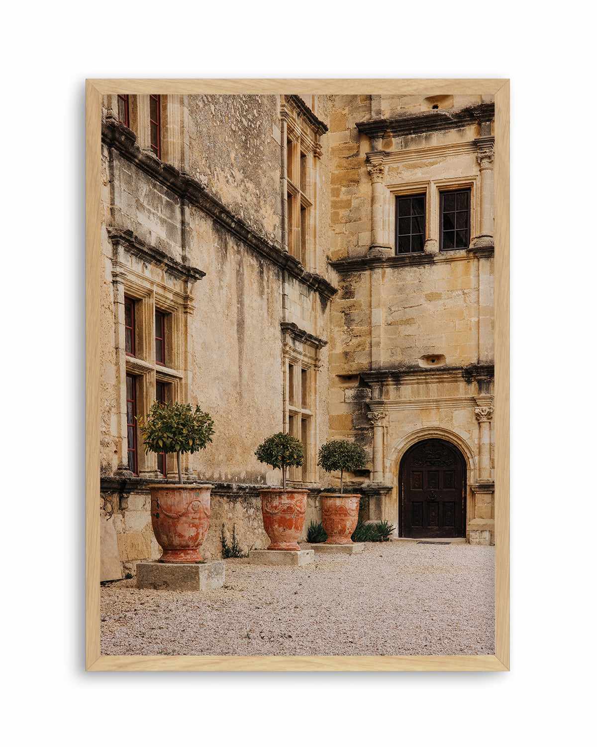 Villa Provence by Jovani Demetrie Art Print