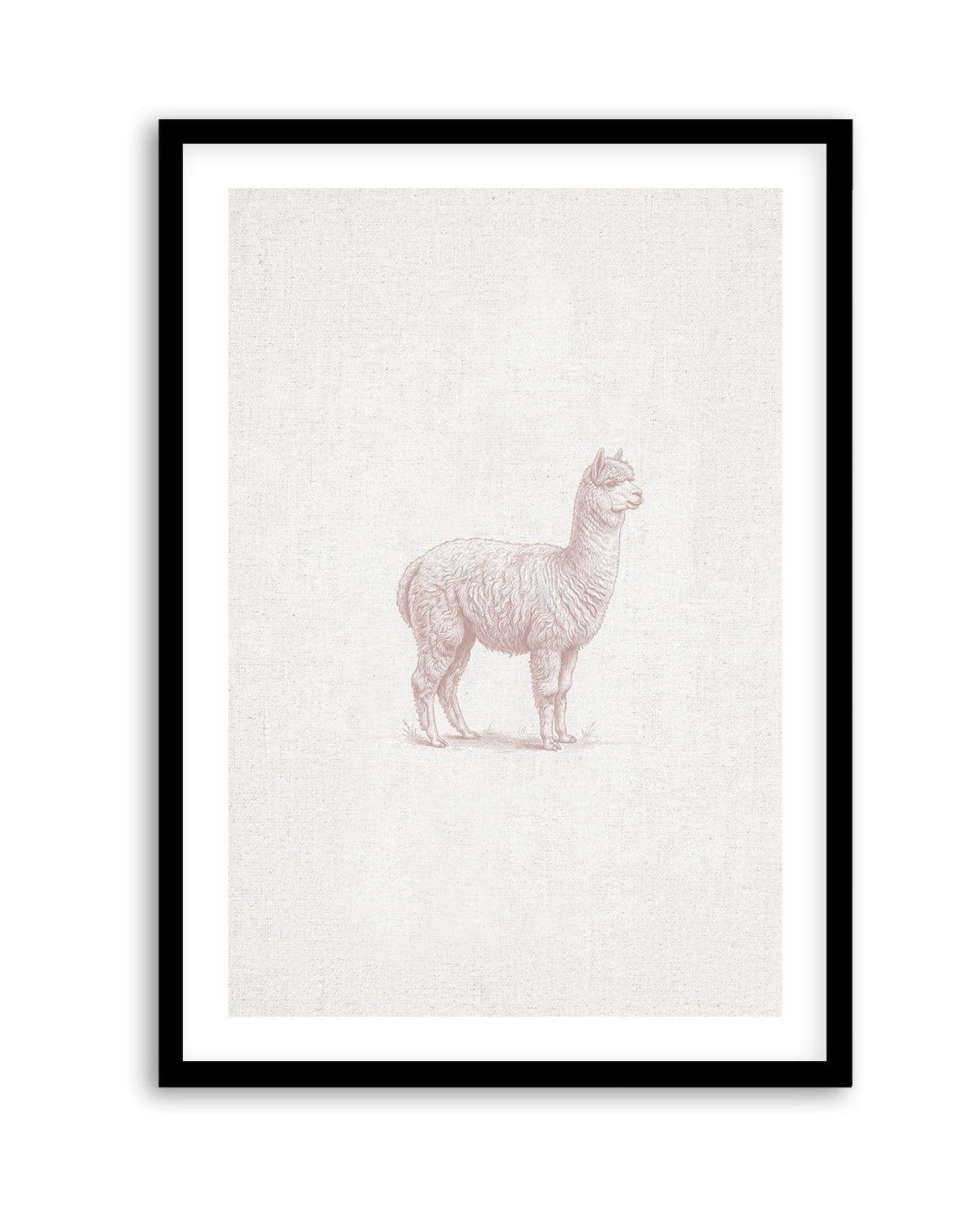 Vintage Alpaca Farm Animals on Linen | Art Print