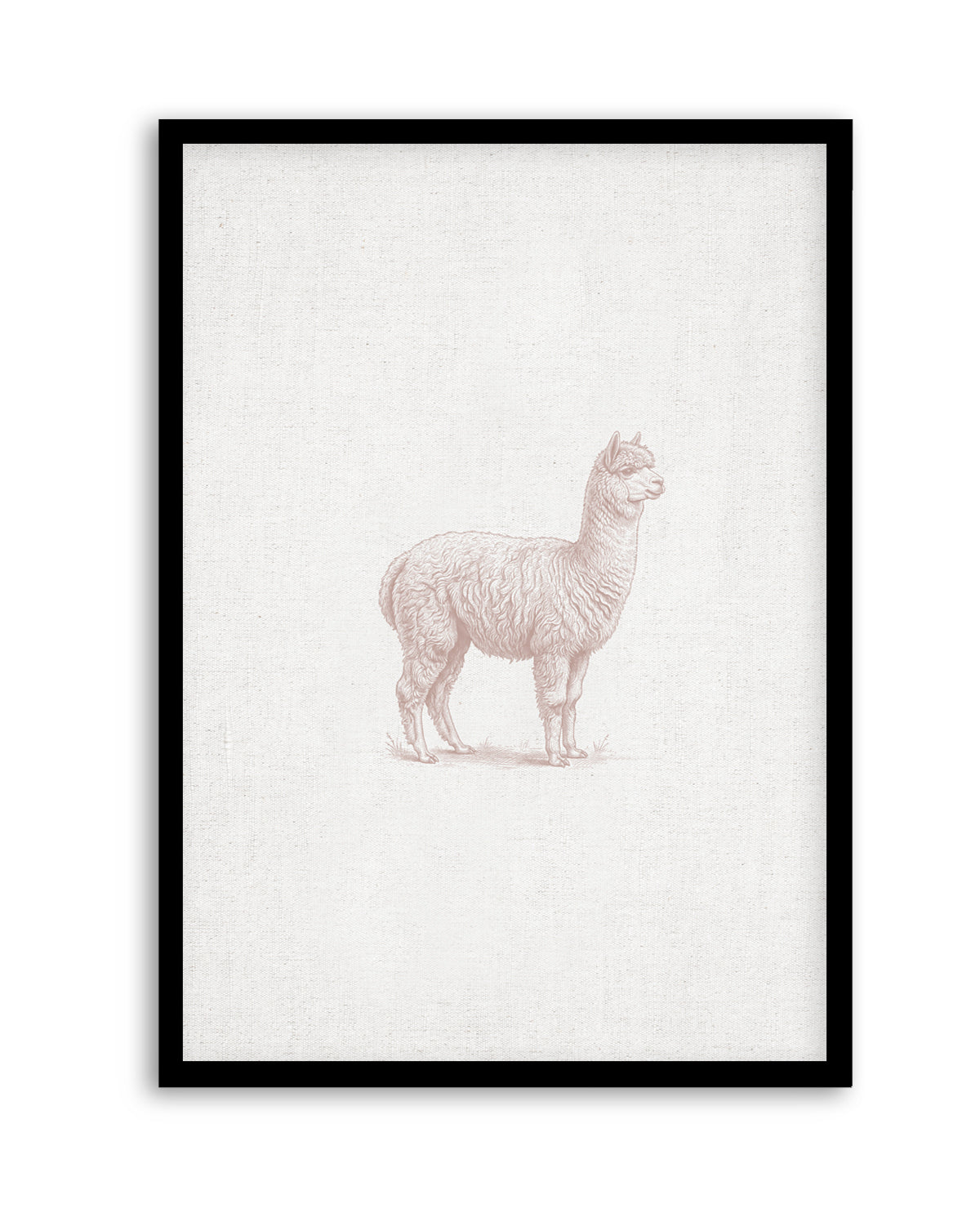 Vintage Alpaca Farm Animals on Linen | Art Print