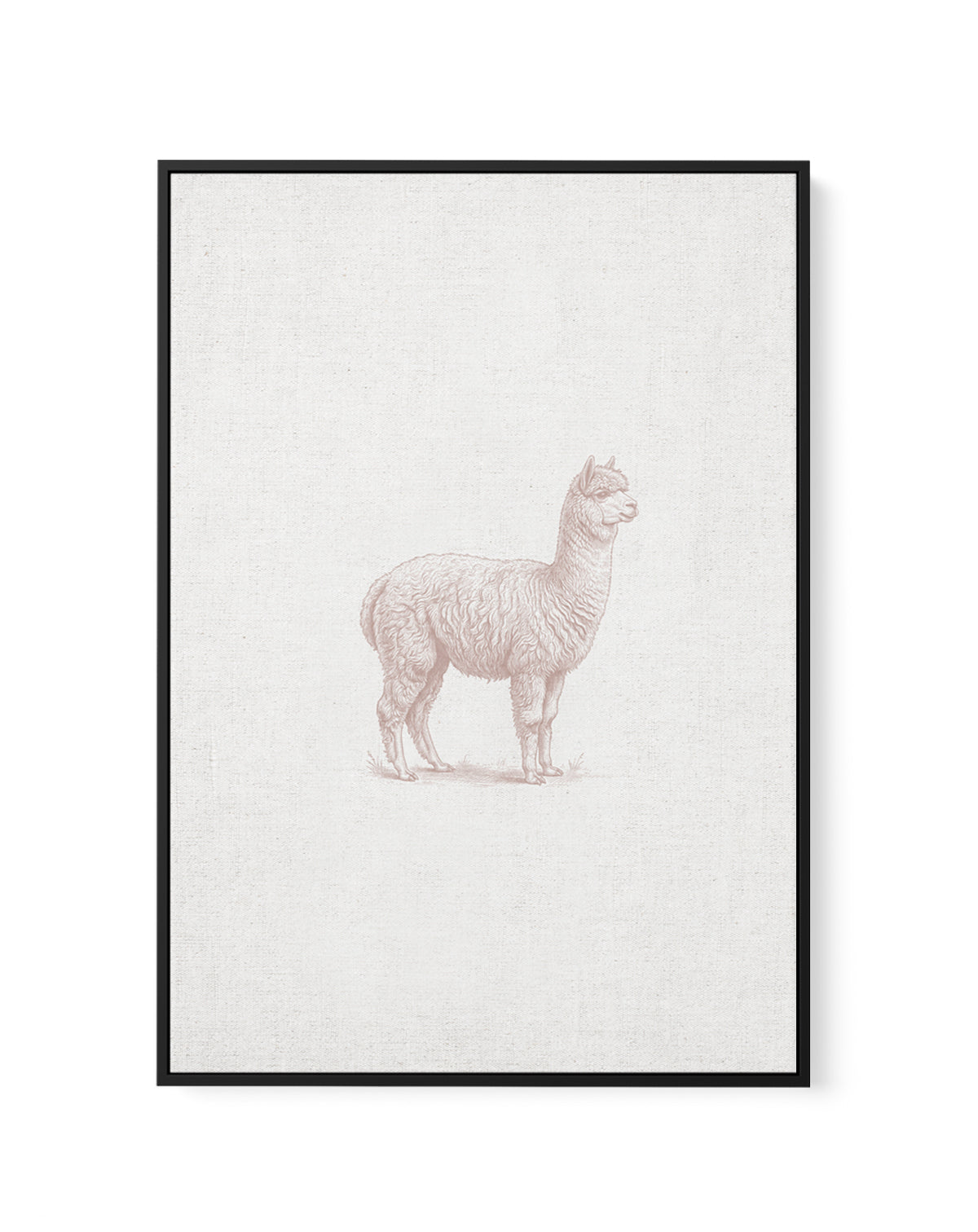 Vintage Alpaca Farm Animals on Linen | Framed Canvas Art Print