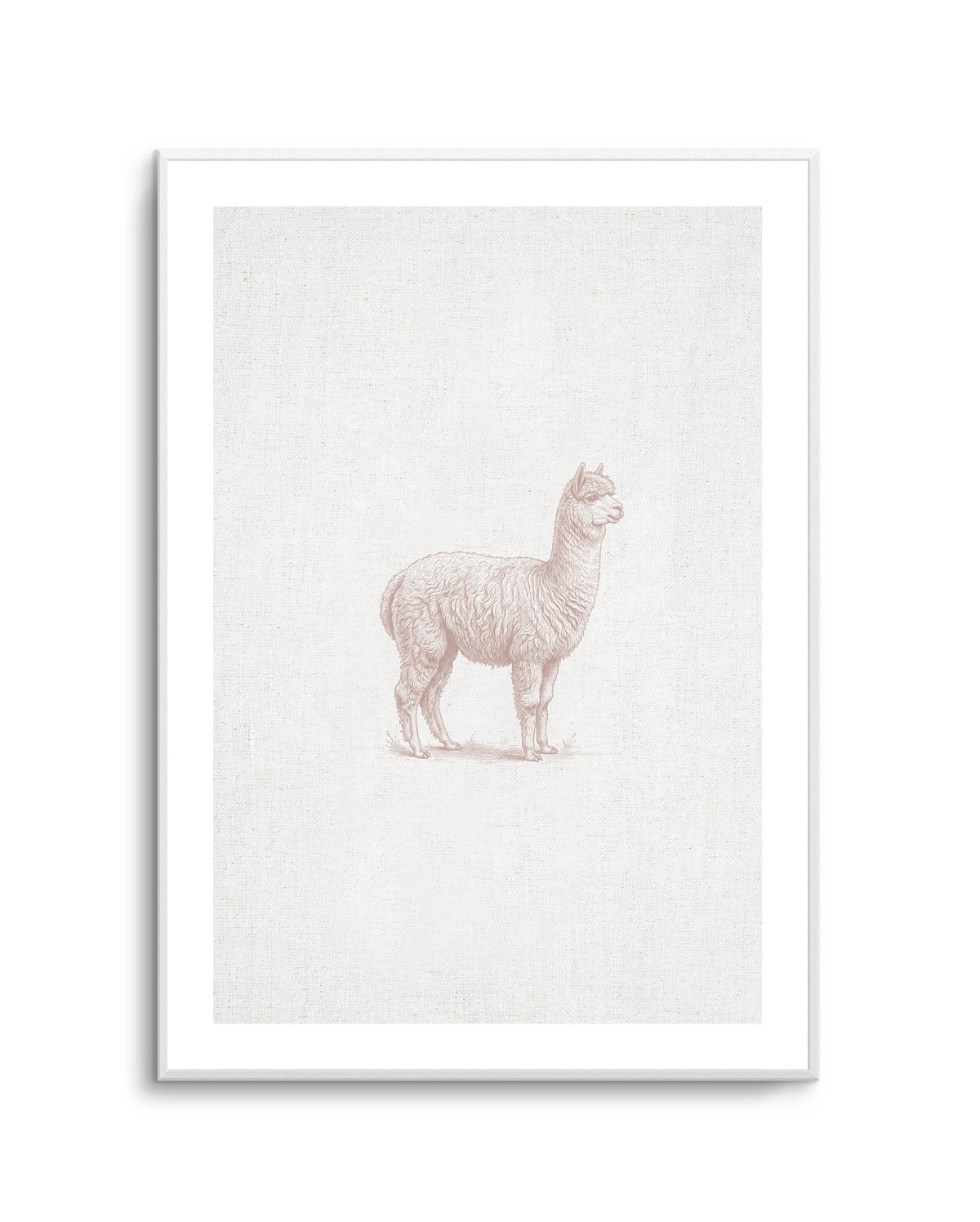 Vintage Alpaca Farm Animals on Linen | Art Print