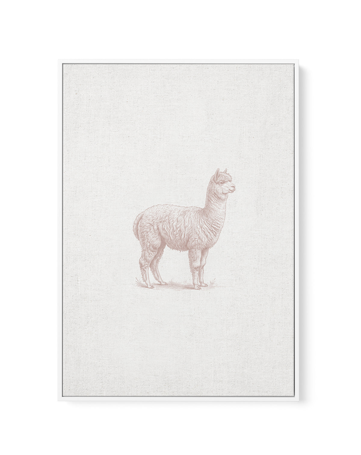 Vintage Alpaca Farm Animals on Linen | Framed Canvas Art Print