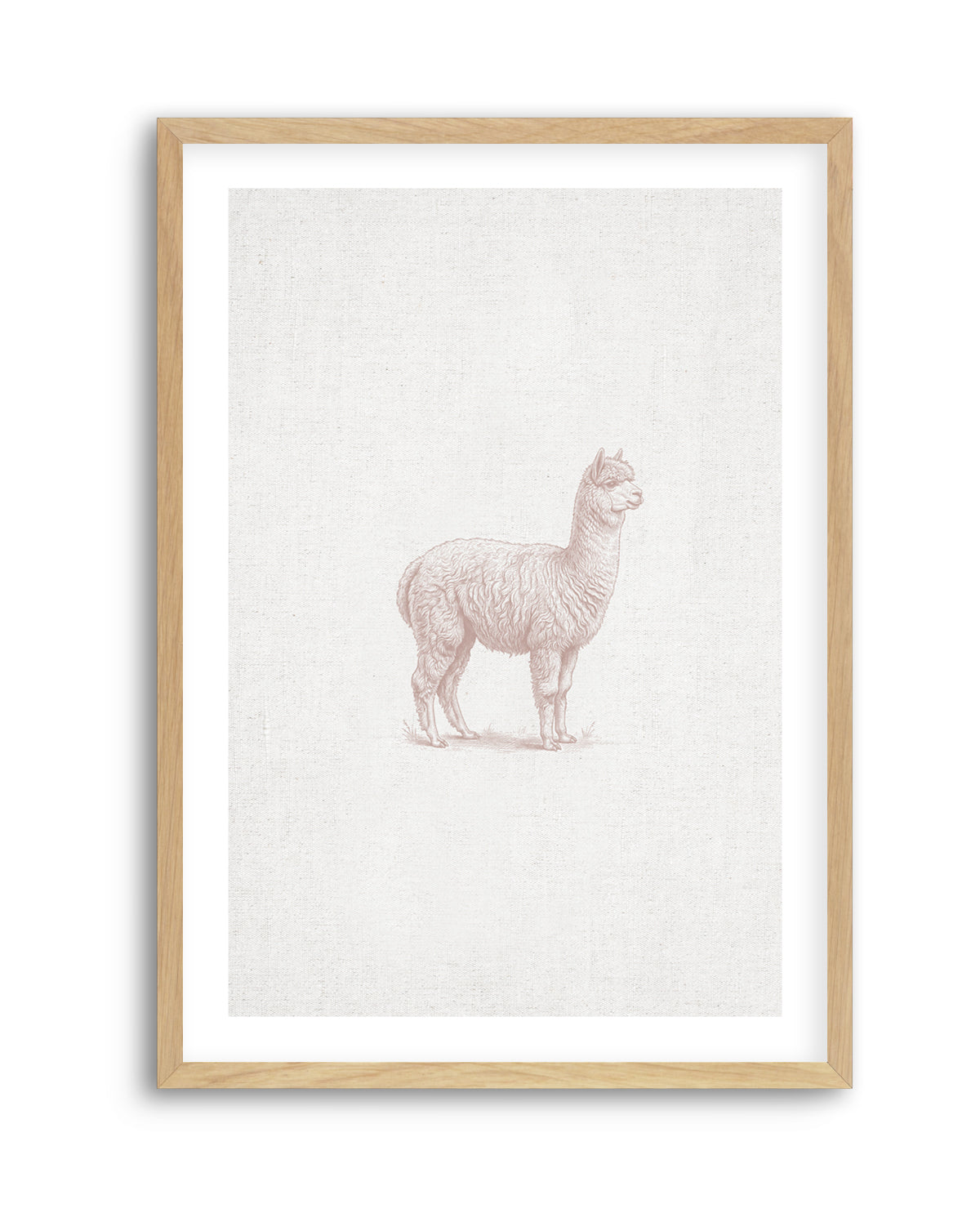 Vintage Alpaca Farm Animals on Linen | Art Print