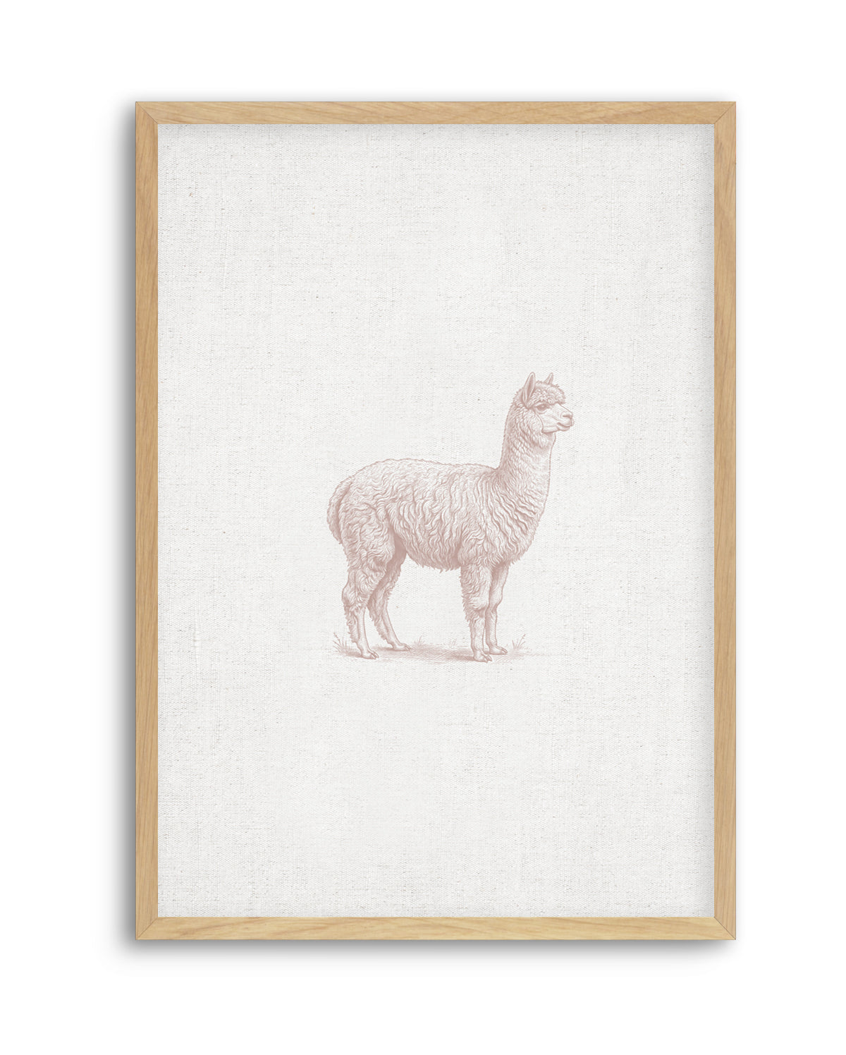 Vintage Alpaca Farm Animals on Linen | Art Print