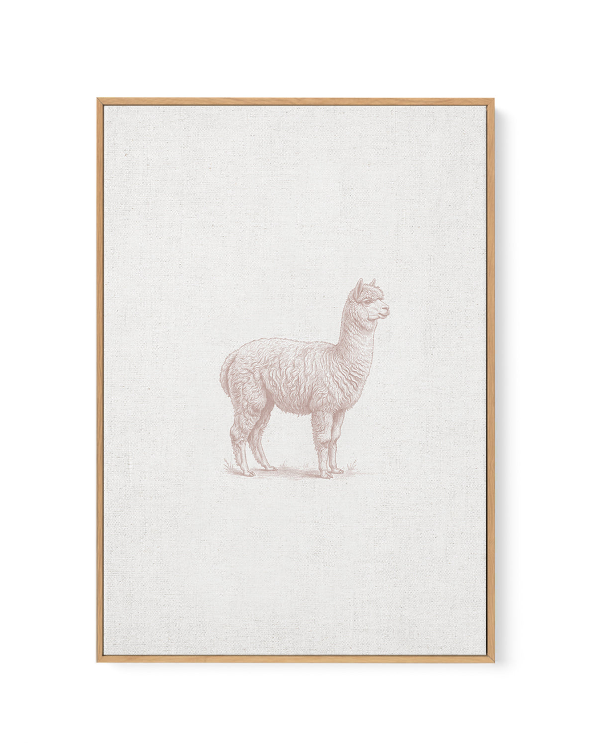 Vintage Alpaca Farm Animals on Linen | Framed Canvas Art Print