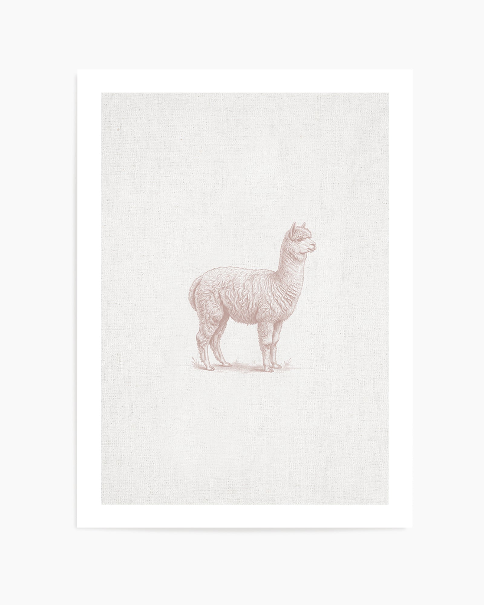 Vintage Alpaca Farm Animals on Linen | Art Print