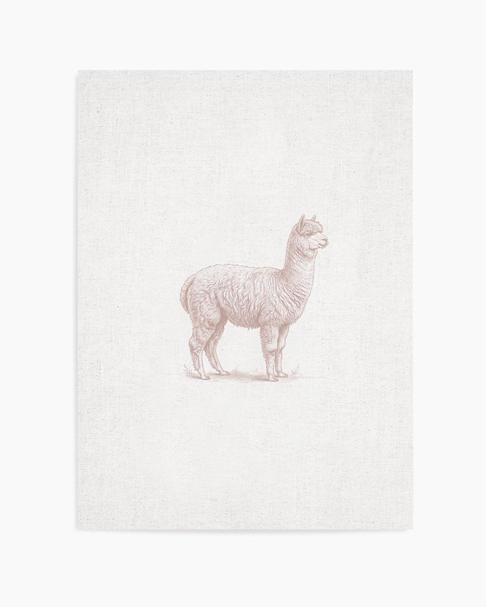 Vintage Alpaca Farm Animals on Linen | Art Print