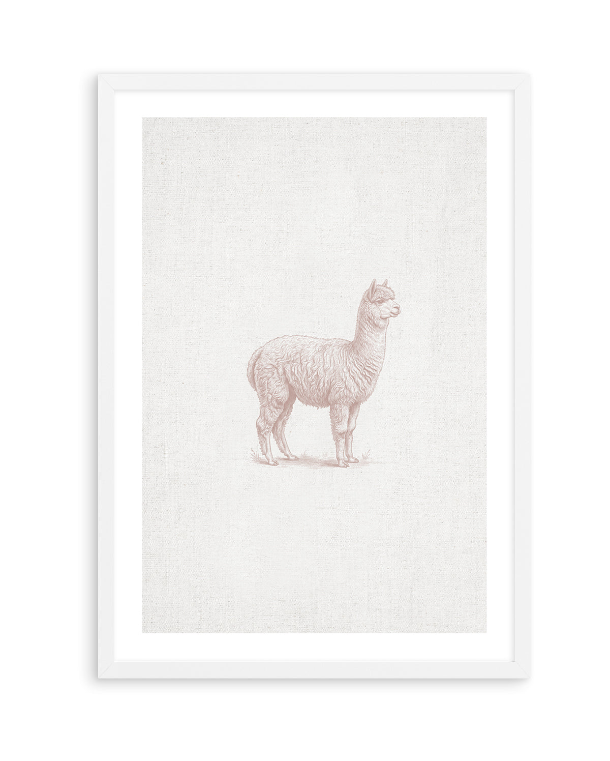 Vintage Alpaca Farm Animals on Linen | Art Print