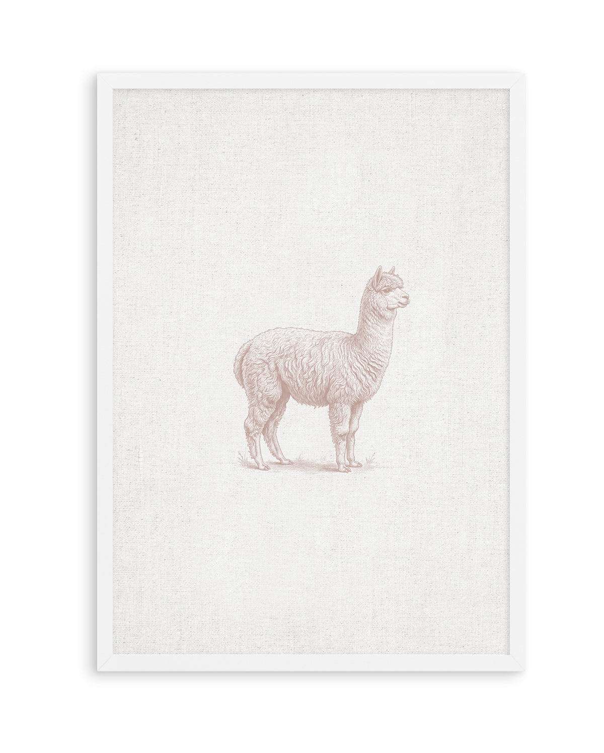 Vintage Alpaca Farm Animals on Linen | Art Print