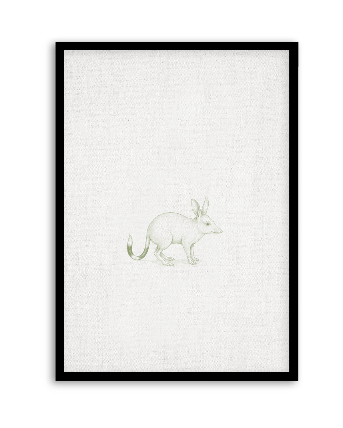 Vintage Bilby Australian Animals on Linen | Art Print