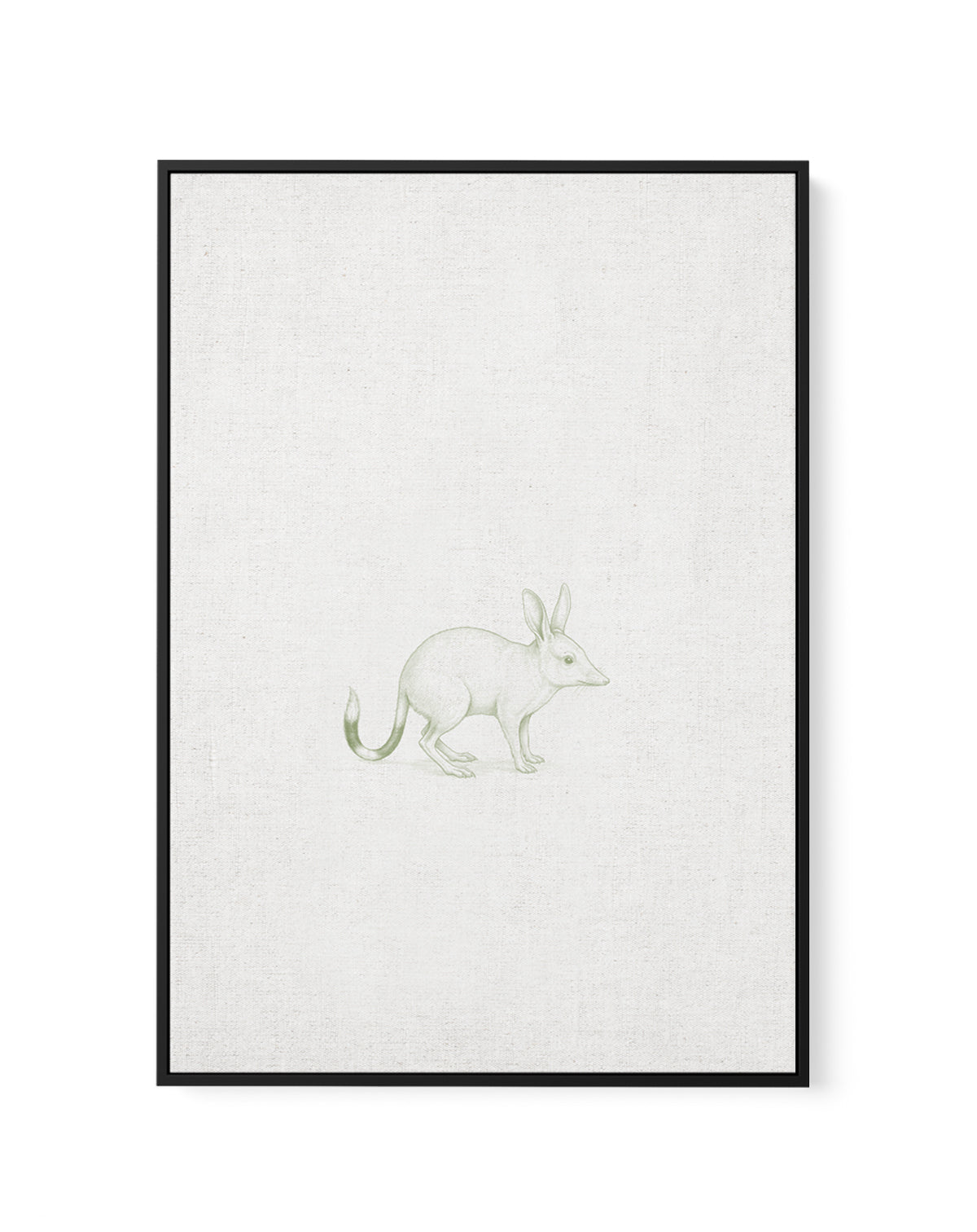 Vintage Bilby Australian Animals on Linen | Framed Canvas Art Print
