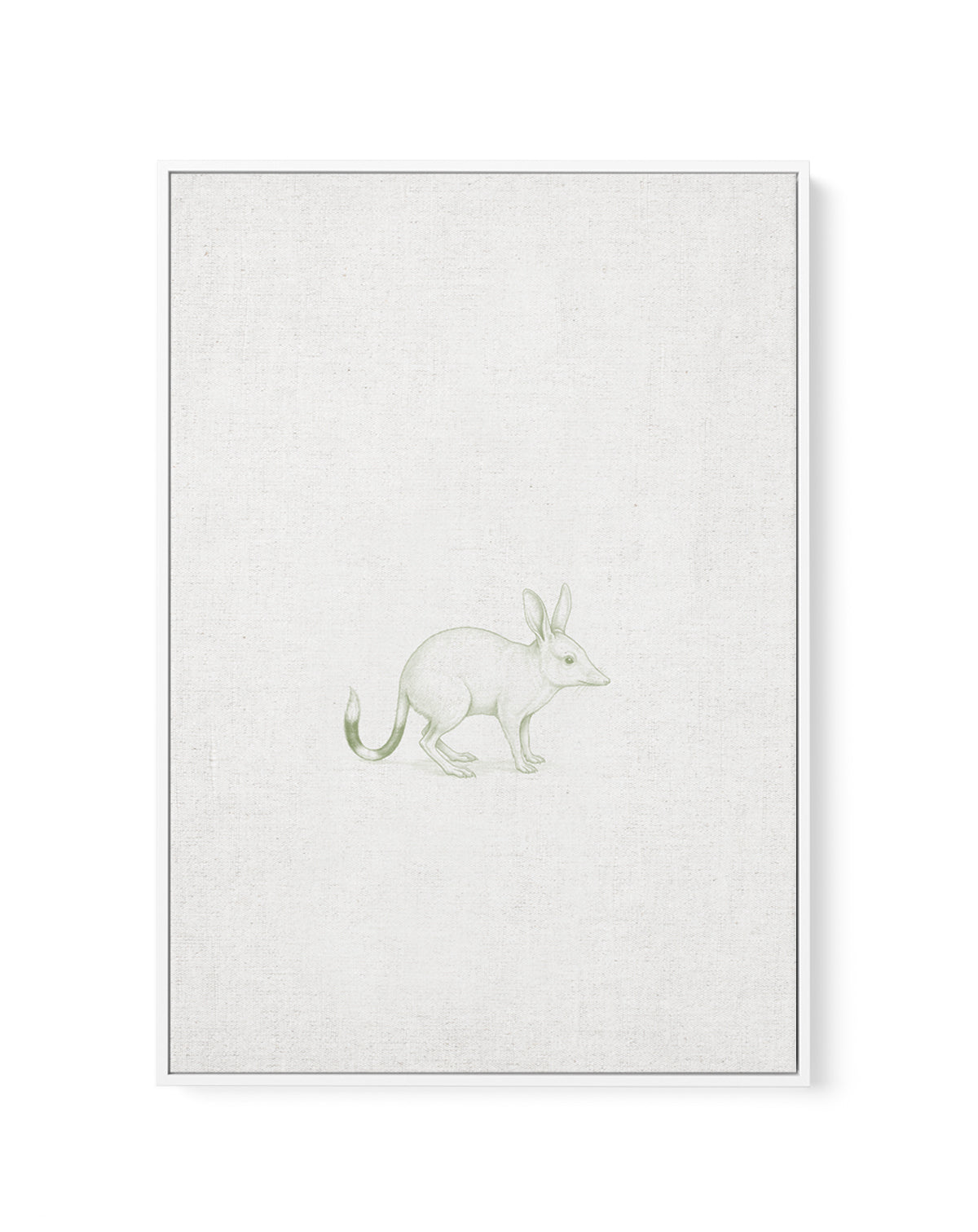 Vintage Bilby Australian Animals on Linen | Framed Canvas Art Print