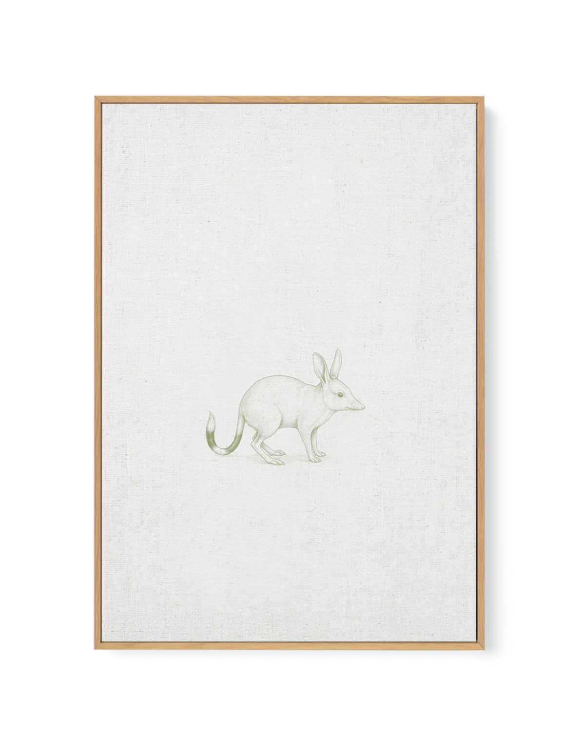 Vintage Bilby Australian Animals on Linen | Framed Canvas Art Print