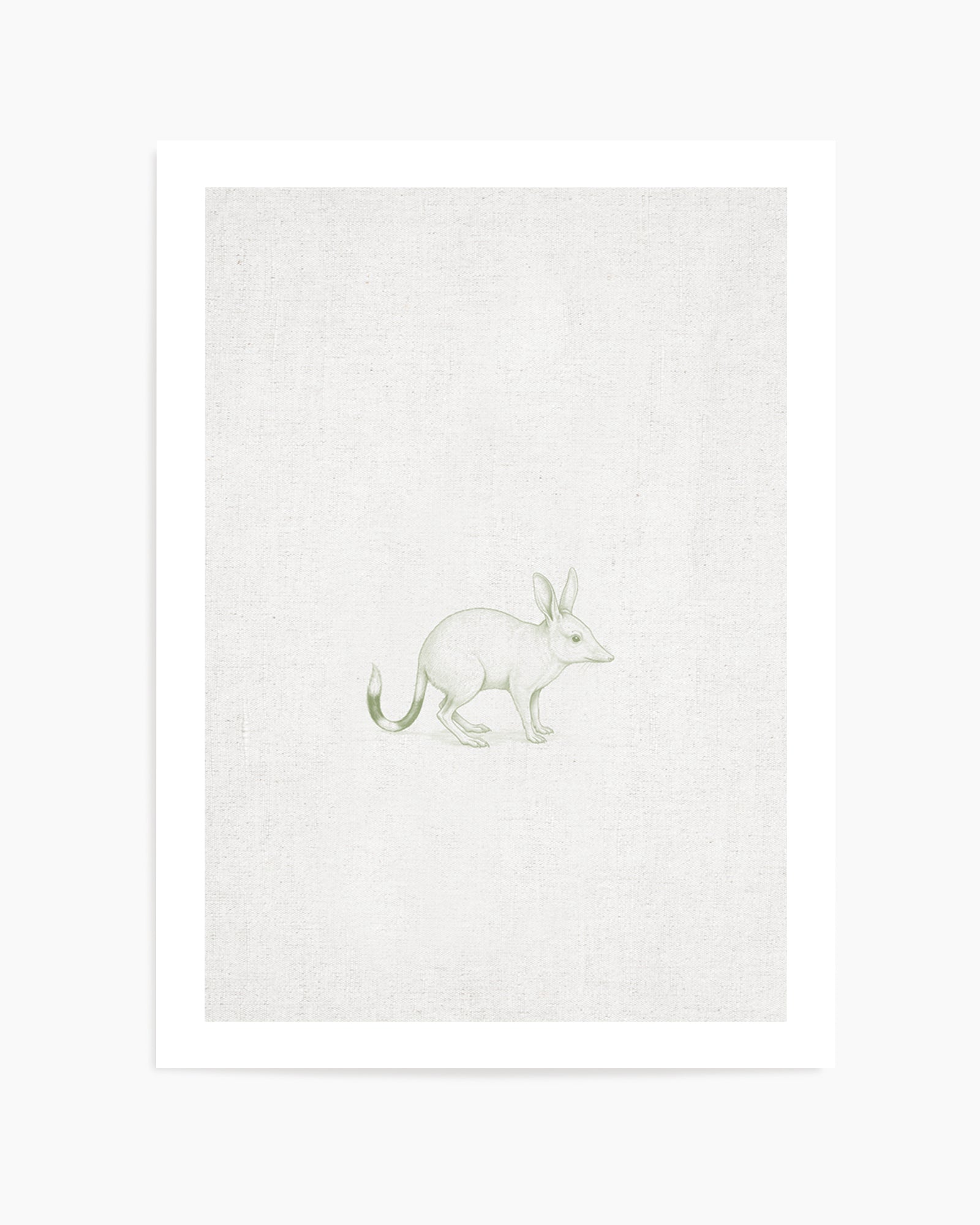 Vintage Bilby Australian Animals on Linen | Art Print