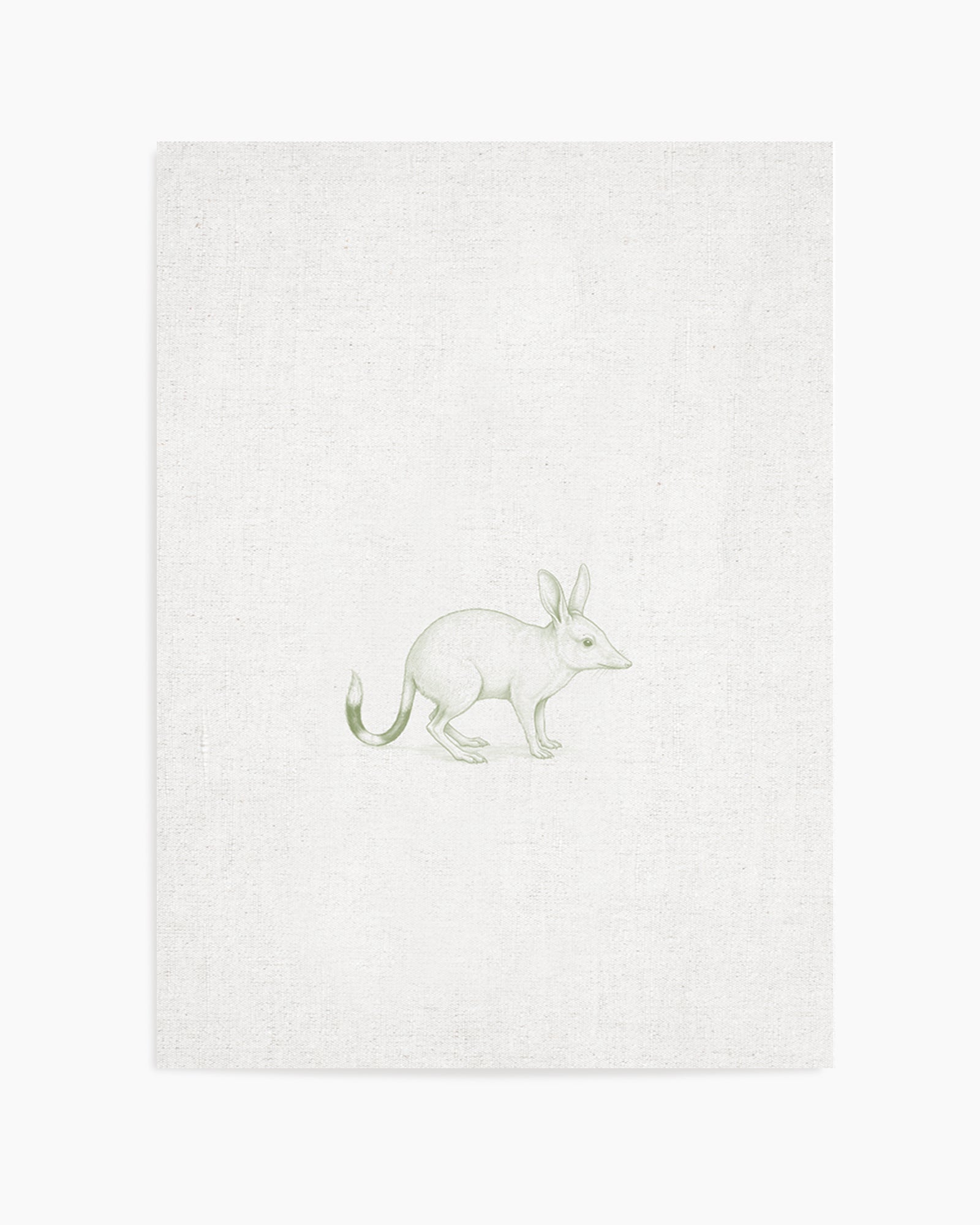 Vintage Bilby Australian Animals on Linen | Art Print