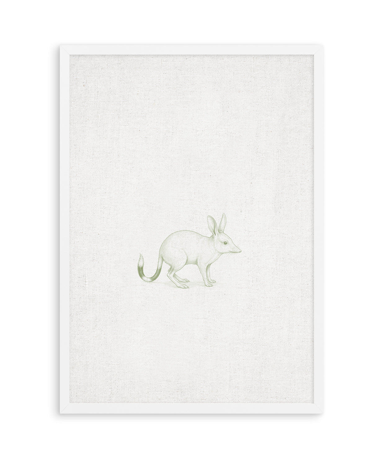 Vintage Bilby Australian Animals on Linen | Art Print