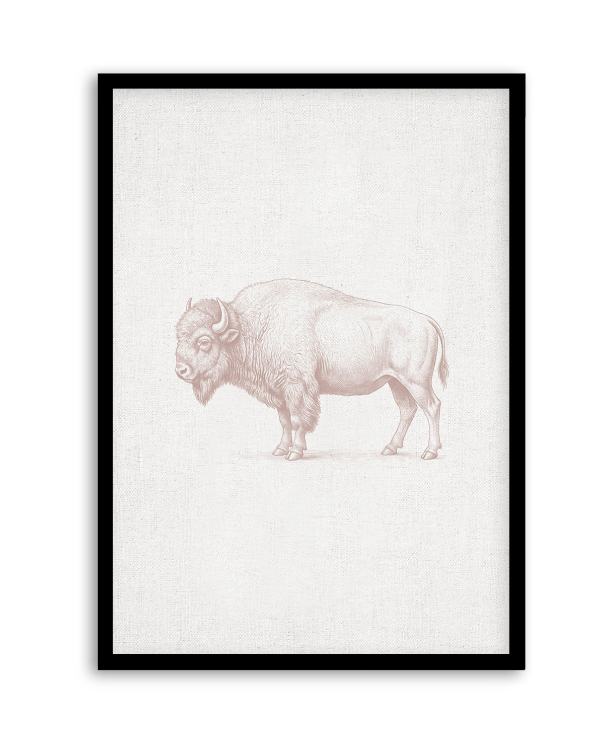 Vintage Bison Farm Animals on Linen | Art Print